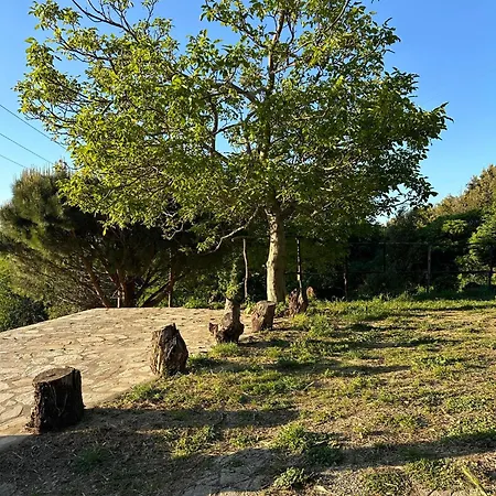 Holiday home So Simple Guest House,mouresi *